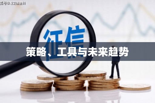 安化策略、工具与未来趋势