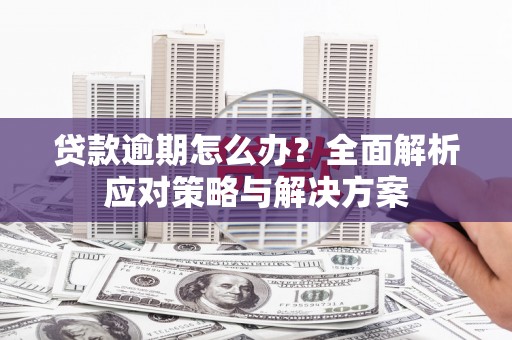 刚察贷款逾期怎么办？全面解析应对策略与解决方案