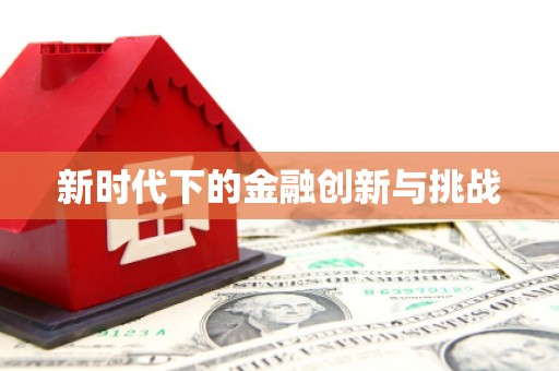 武川新时代下的金融创新与挑战