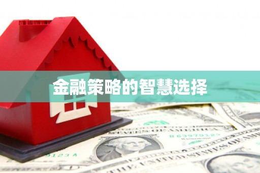 新蔡金融策略的智慧选择