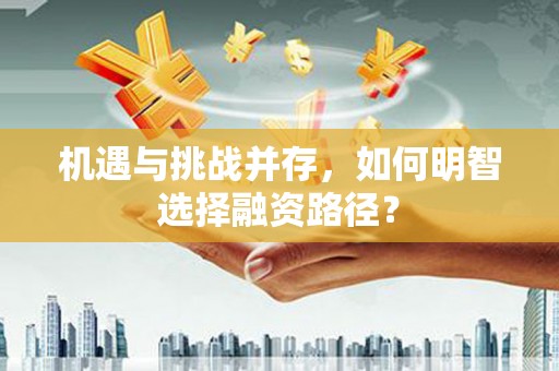 云龙机遇与挑战并存，如何明智选择融资路径？