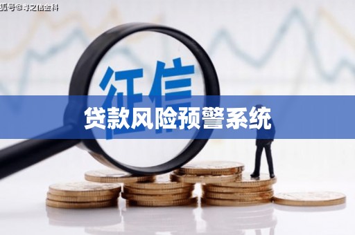 桃江贷款风险预警系统