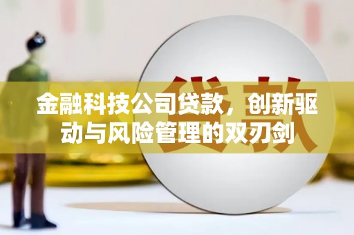 简阳金融科技公司贷款，创新驱动与风险管理的双刃剑